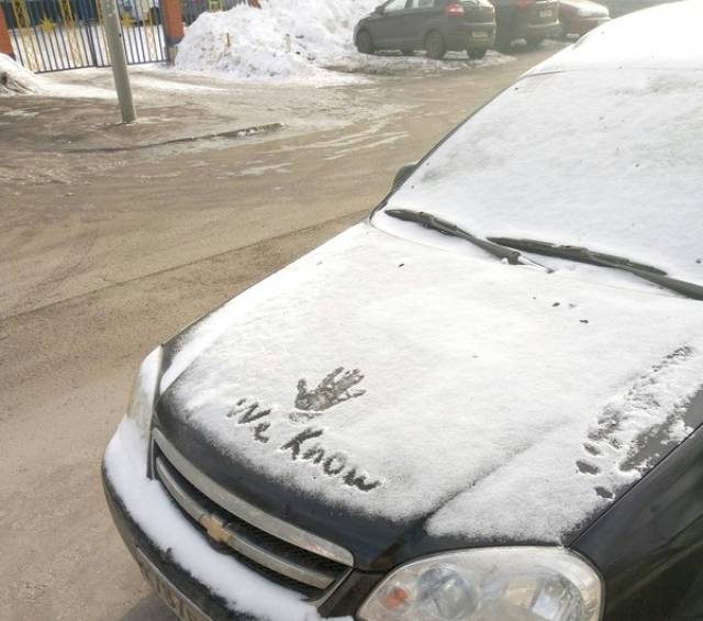 Morning Picdump