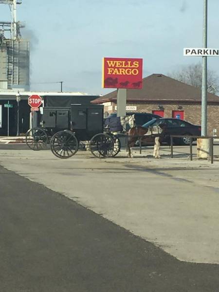 morning picdump 50 pics 12.html - 50 HD Photos | Premium Gallery 2017