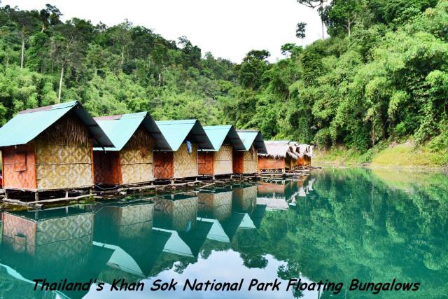 daily picdump 95 pics 2.html - 95 HD Photos | Premium Gallery 2017