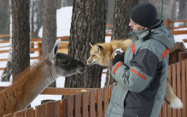 daily picdump 95 pics 2.html - 95 HD Photos | Premium Gallery 2017