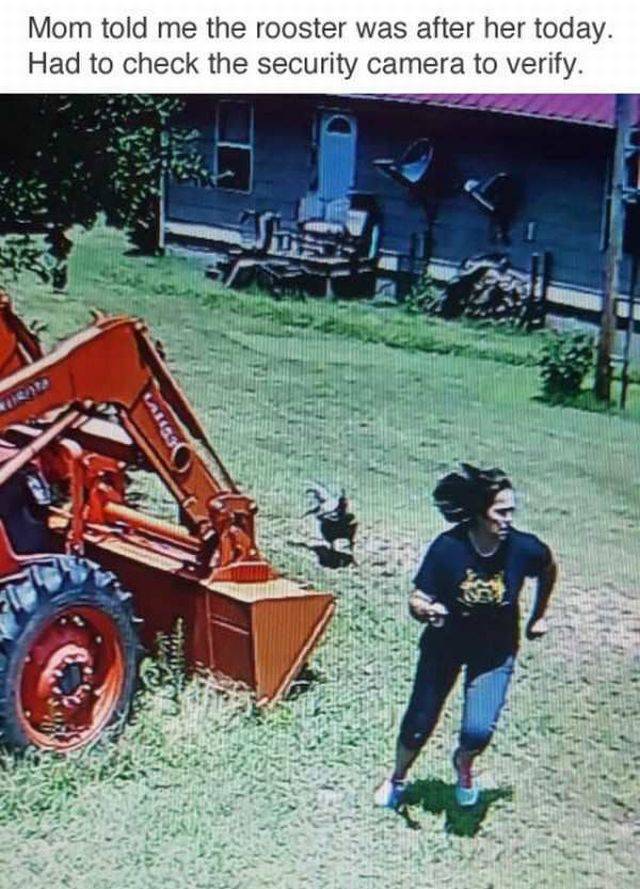 daily picdump 95 pics 2.html - 95 HD Photos | Premium Gallery 2017