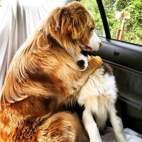 morning picdump 53 pics 7.html - 53 HD Photos | Premium Gallery 2017