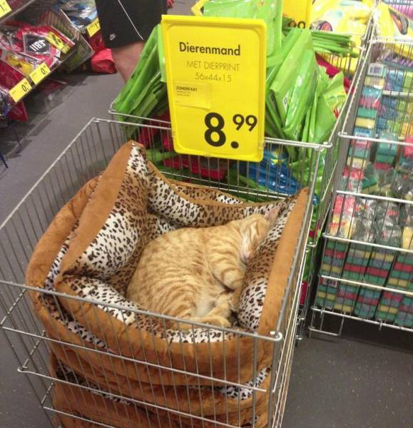 morning picdump 53 pics 7.html - 53 HD Photos | Premium Gallery 2017