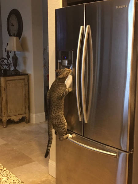 morning picdump 53 pics 7.html - 53 HD Photos | Premium Gallery 2017