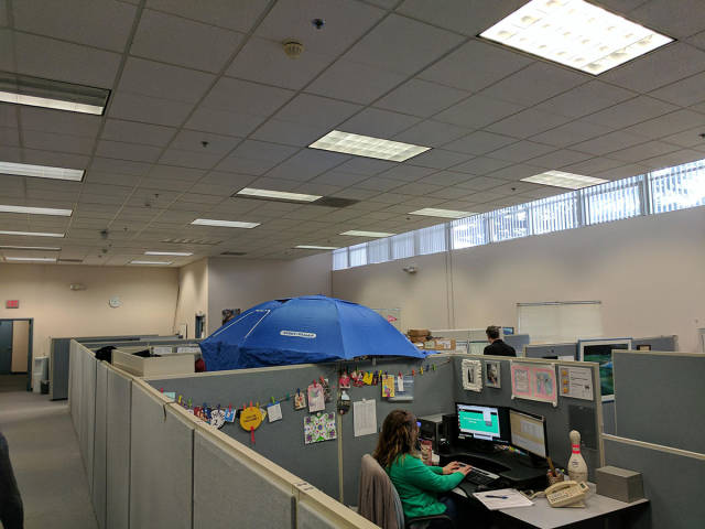 morning picdump 50 pics 24.html - 50 HD Photos | Premium Gallery 2017