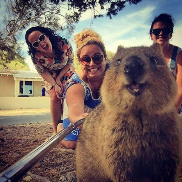 Daily Picdump [WEEKEND EDITION]