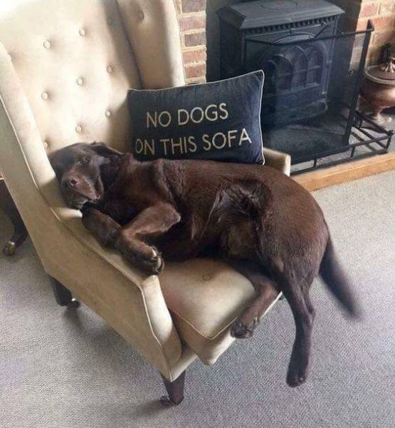 Daily Picdump [WEEKEND EDITION]