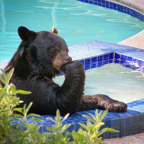 daily picdump weekend edition 52 pics 5.html - 52 HD Photos | Premium Gallery 2017