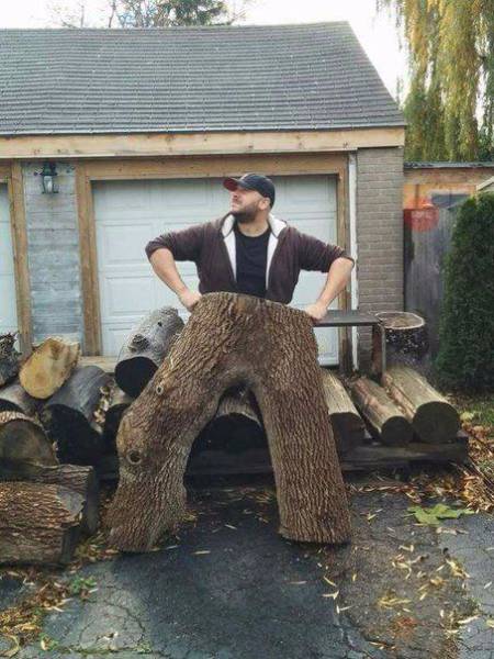Daily Picdump