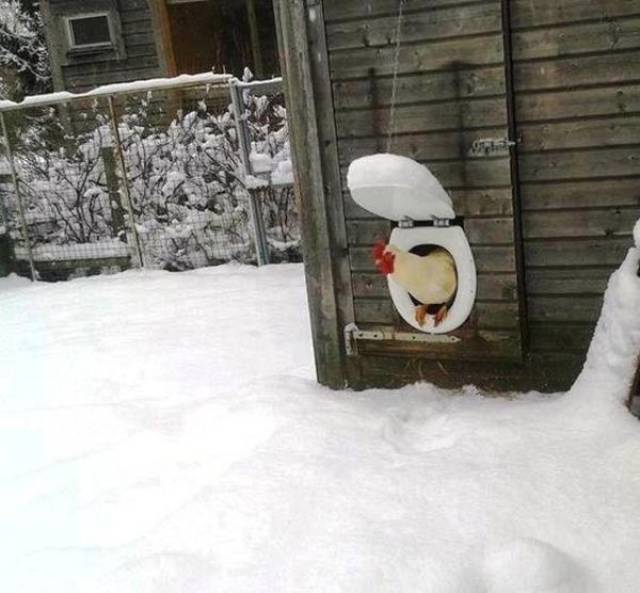 Daily Picdump