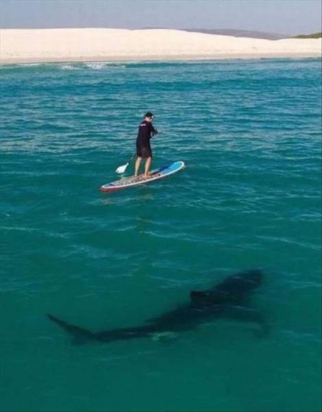 daily picdump 98 pics 33.html - 98 HD Photos | Premium Gallery 2017