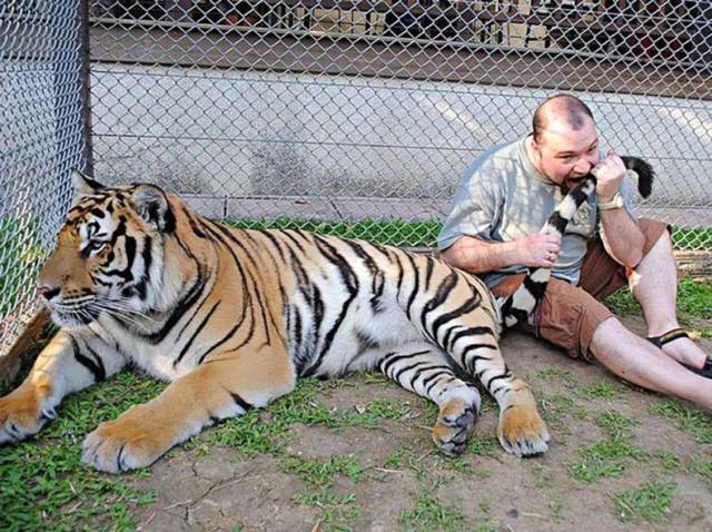 daily picdump 98 pics 33.html - 98 HD Photos | Premium Gallery 2017