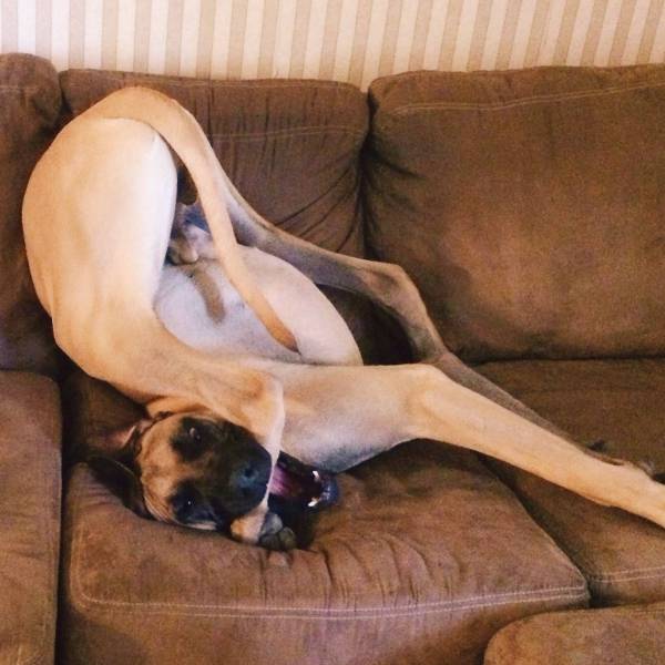 daily picdump 98 pics 33.html - 98 HD Photos | Premium Gallery 2017