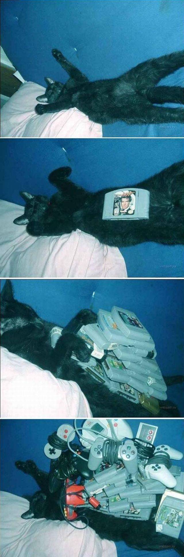 daily picdump 98 pics 33.html - 98 HD Photos | Premium Gallery 2017