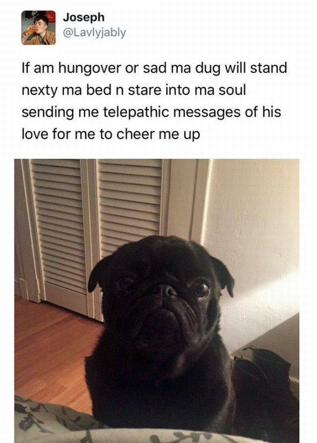 Daily Picdump