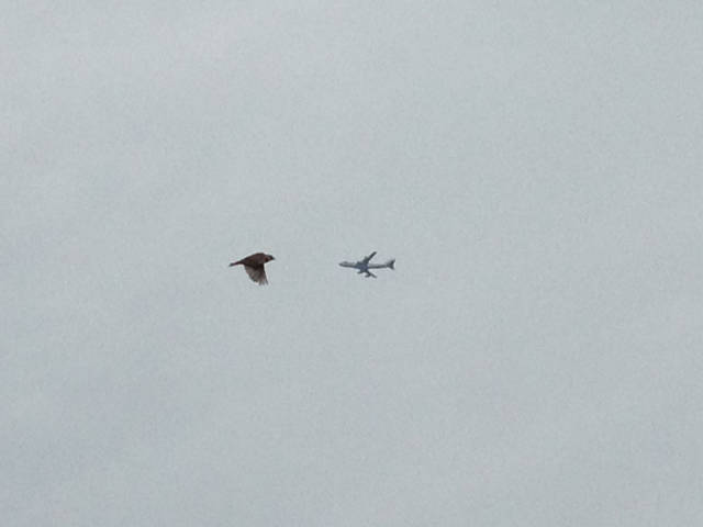 morning picdump 52 pics 3.html - 52 HD Photos | Premium Gallery 2017