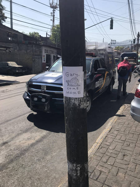 morning picdump 52 pics 3.html - 52 HD Photos | Premium Gallery 2017