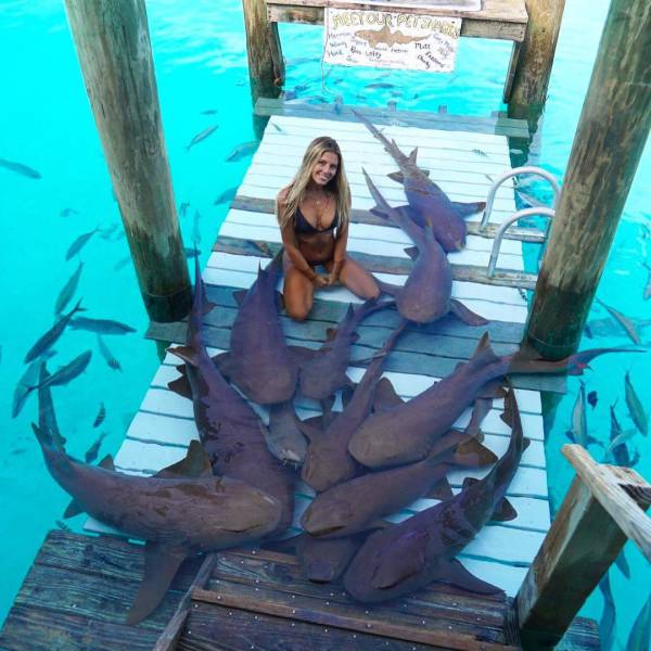 They Just Don’t Give A F#ck On Bali…