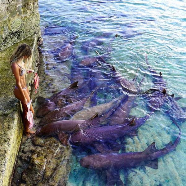 They Just Don’t Give A F#ck On Bali…