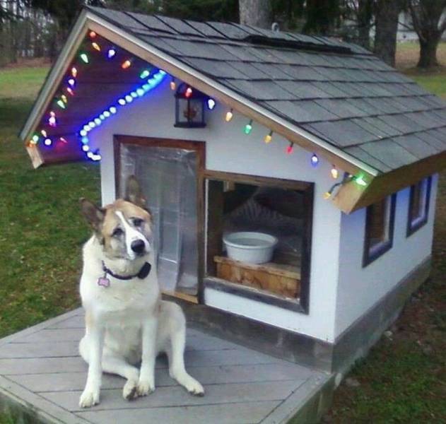 daily picdump 100 pics 24.html - 100 HD Photos | Premium Gallery 2017