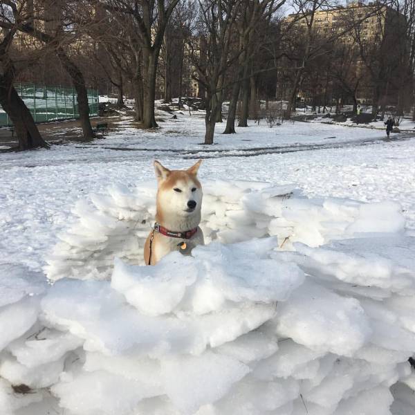 daily picdump 100 pics 24.html - 100 HD Photos | Premium Gallery 2017
