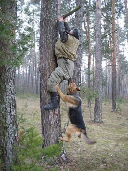 daily picdump 100 pics 24.html - 100 HD Photos | Premium Gallery 2017