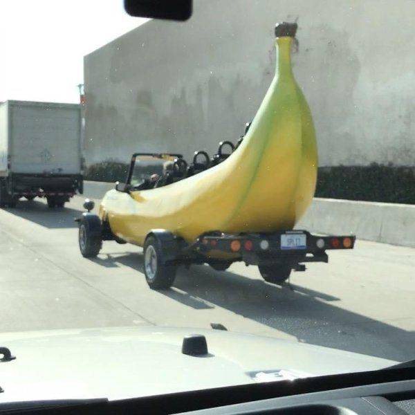 daily picdump 100 pics 24.html - 100 HD Photos | Premium Gallery 2017