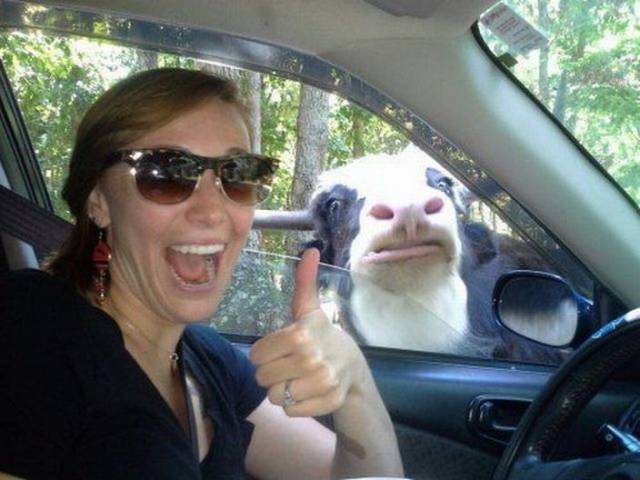 daily picdump 100 pics 24.html - 100 HD Photos | Premium Gallery 2017