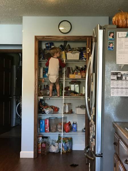 Morning Picdump