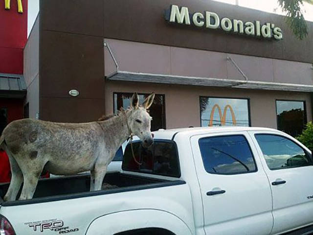 morning picdump 51 pics 8.html - 51 HD Photos | Premium Gallery 2017