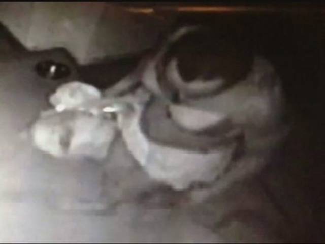 Literally The Worst Crime Attempts Ever Made