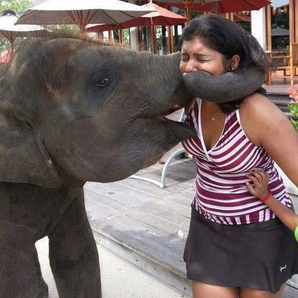 Daily Picdump