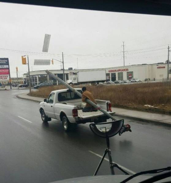 Daily Picdump