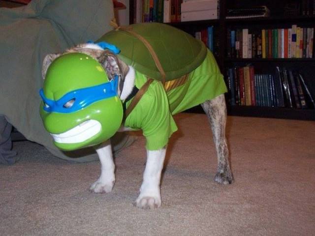 daily picdump 97 pics 29.html - 97 HD Photos | Premium Gallery 2017