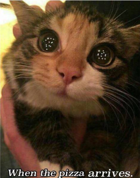 daily picdump 97 pics 29.html - 97 HD Photos | Premium Gallery 2017