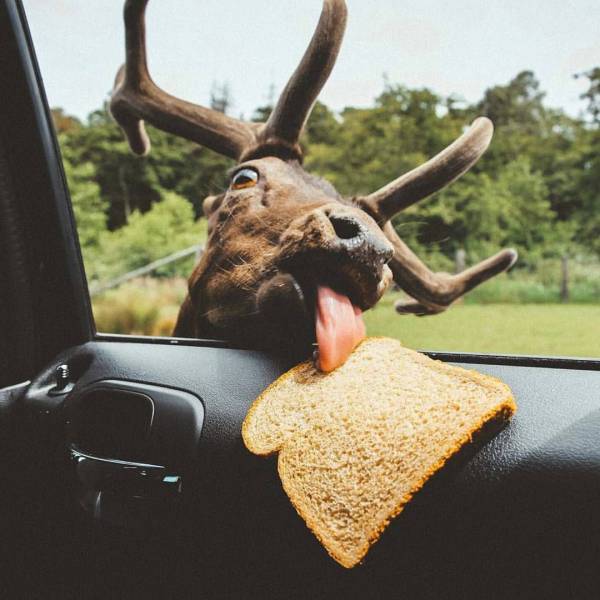 daily picdump 97 pics 29.html - 97 HD Photos | Premium Gallery 2017