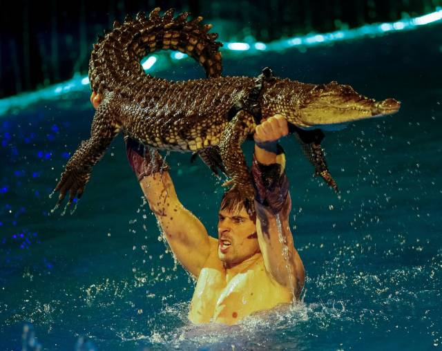 daily picdump 97 pics 29.html - 97 HD Photos | Premium Gallery 2017