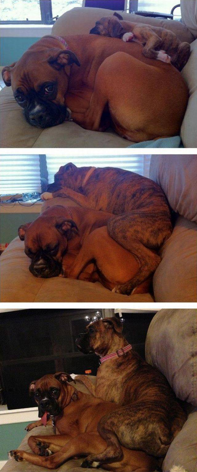 daily picdump 97 pics 29.html - 97 HD Photos | Premium Gallery 2017