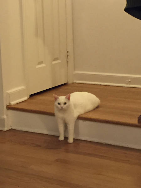 morning picdump 51 pics 21.html - 51 HD Photos | Premium Gallery 2017