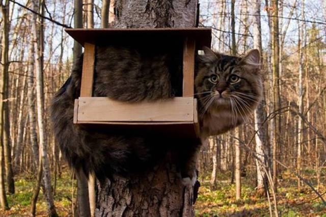 Daily Picdump [WEEKEND EDITION]