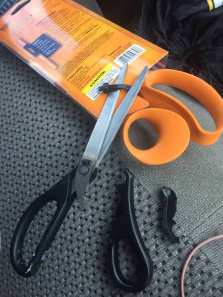 Daily Picdump [WEEKEND EDITION]