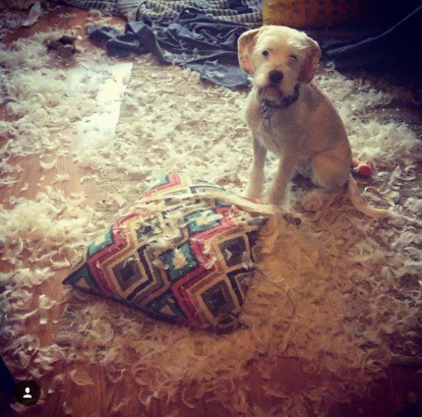 daily picdump weekend edition 65 pics 1.html - 65 HD Photos | Premium Gallery 2017