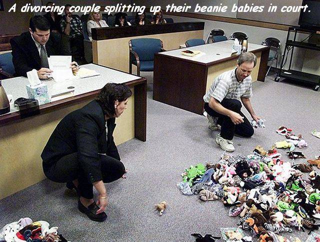 daily picdump weekend edition 65 pics 1.html - 65 HD Photos | Premium Gallery 2017