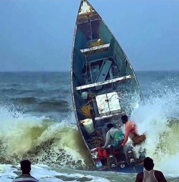 daily picdump weekend edition 65 pics 1.html - 65 HD Photos | Premium Gallery 2017