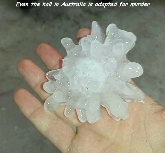 daily picdump weekend edition 65 pics 1.html - 65 HD Photos | Premium Gallery 2017