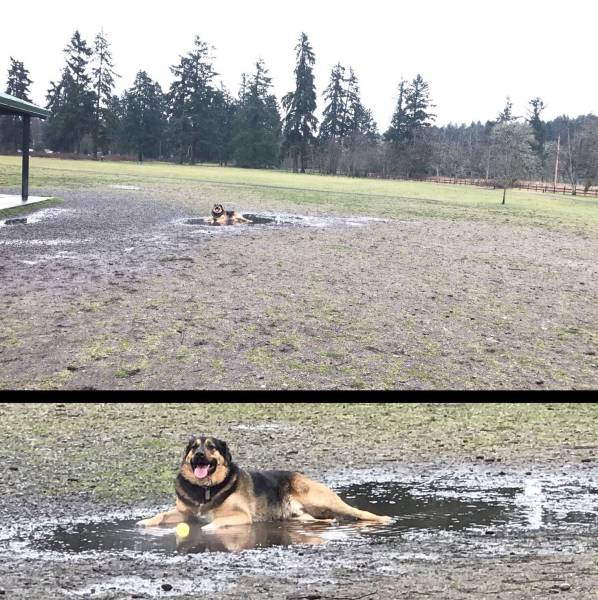 daily picdump 102 pics 4.html - 102 HD Photos | Premium Gallery 2017