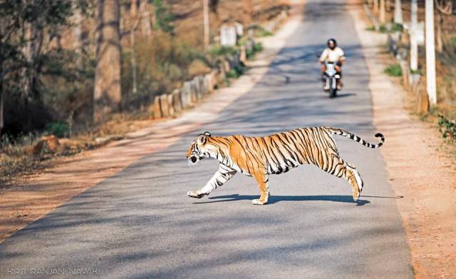 daily picdump 102 pics 4.html - 102 HD Photos | Premium Gallery 2017