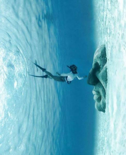 daily picdump 102 pics 4.html - 102 HD Photos | Premium Gallery 2017