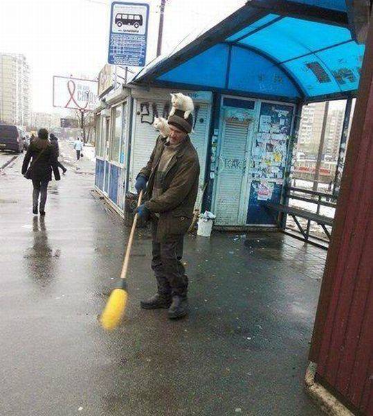 daily picdump 102 pics 4.html - 102 HD Photos | Premium Gallery 2017