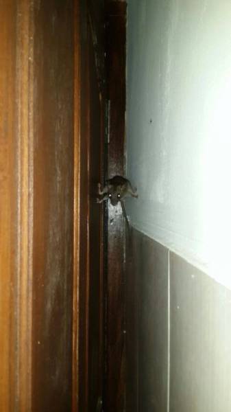 daily picdump 102 pics 4.html - 102 HD Photos | Premium Gallery 2017